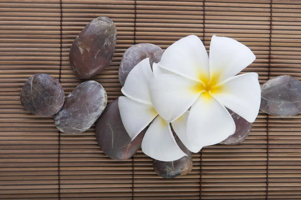 Tropischer Wellnessbereich Mit Frangipani Blumen — Stockfoto
