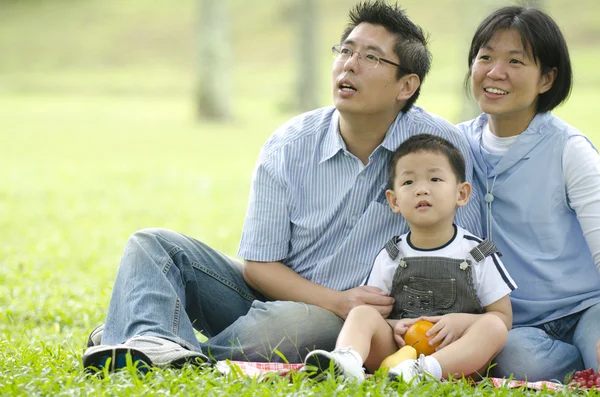 Asiatiska Familj Har Picknick Utomhus — Stockfoto