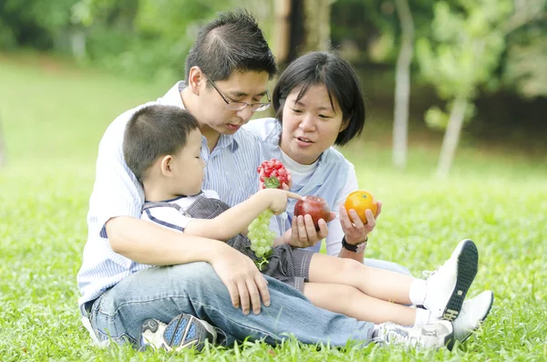 Outdoor asian family portrait — Stock Photo, Image