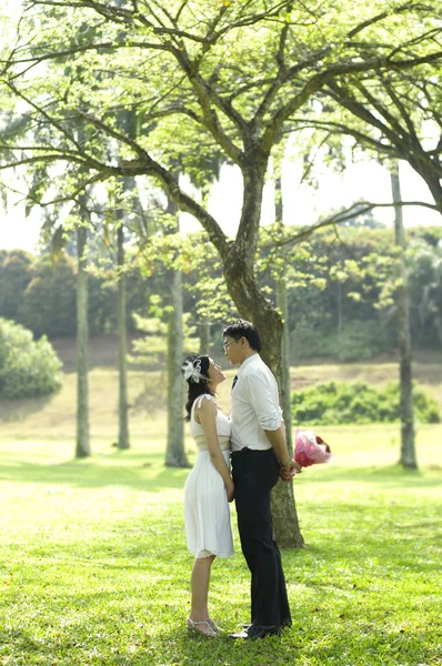 Asiática boda pareja —  Fotos de Stock