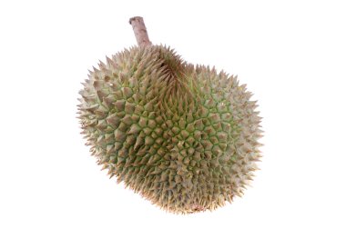 Durian