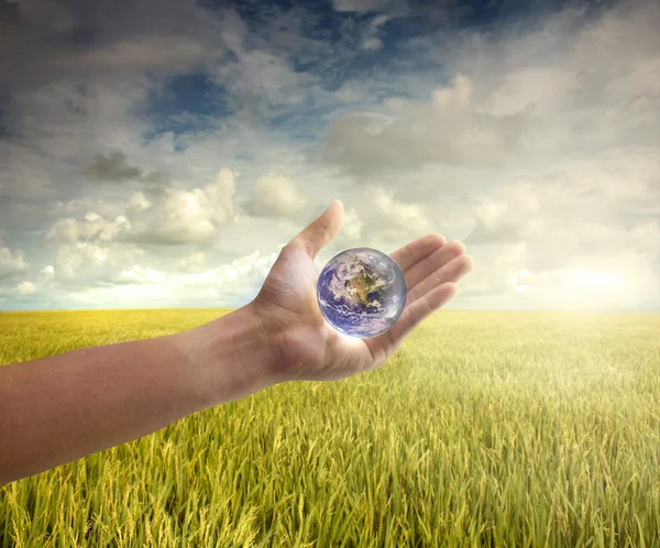 Mother earth — Stock Photo, Image