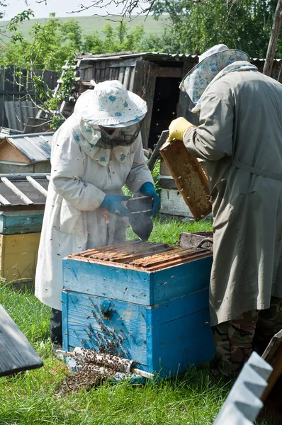 L'apicoltore prende il miele — Foto Stock