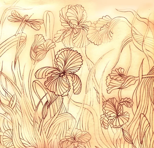 Vintage Hand Drawn Iris Flowers Dragonfly — Stock Photo, Image