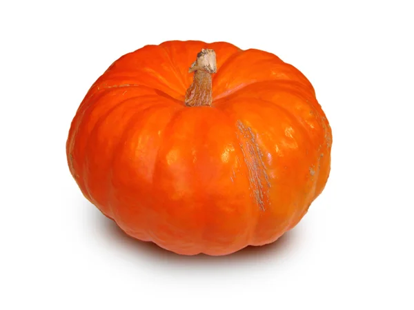 Foto of orange bright color pumpkin — Stock Photo, Image