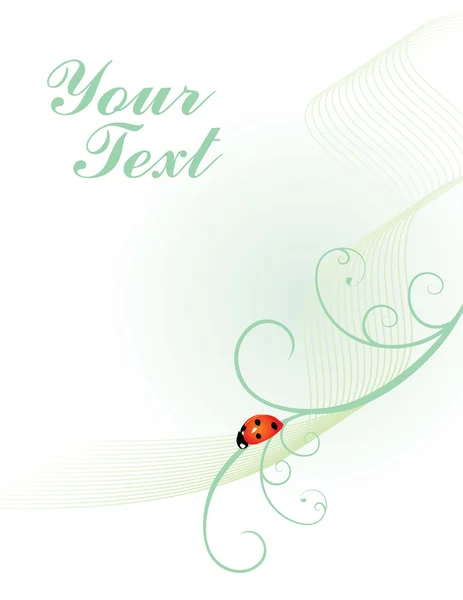 Ladybird green blank — Stock Photo, Image