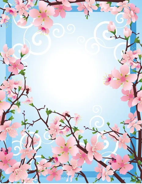 Quadro Sakura — Fotografia de Stock