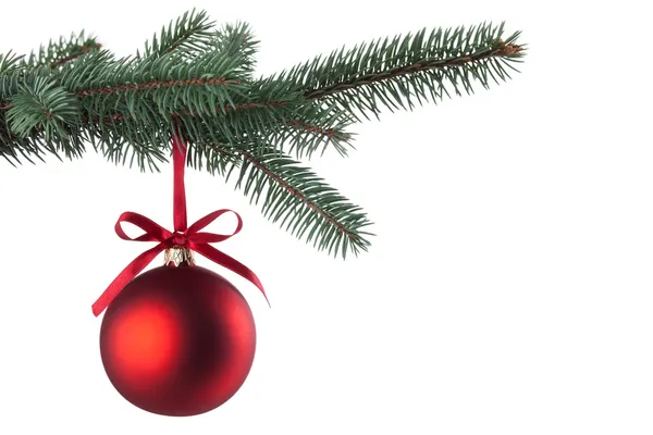 Christmas ball with curly ribbon on christmas tree — Stock Photo, Image