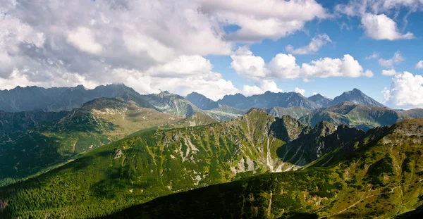 Zomer Berglandschap Het Pools Tatry — Stockfoto