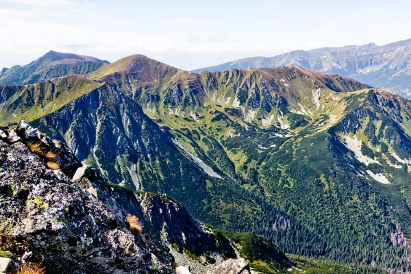 ポーランド語タトリの夏の山の風景 — ストック写真