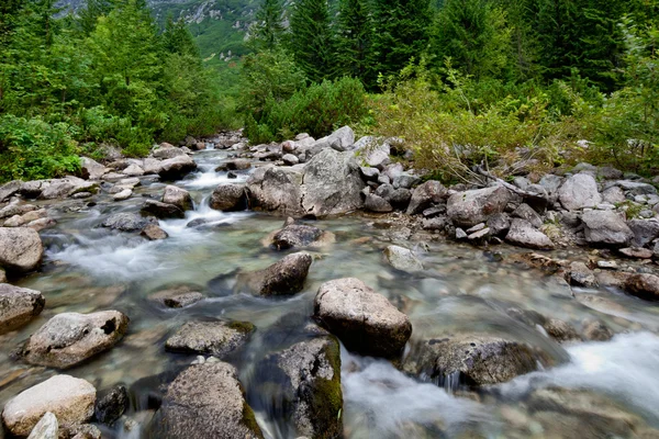 Ruisseau de montagne — Photo