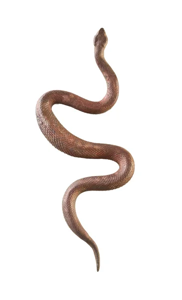 Металеві змія — стокове фото