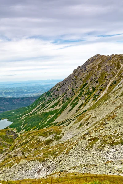 夏の山岳風景 ロイヤリティフリーのストック写真