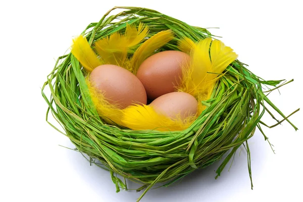 Huevos en el nido — Foto de Stock