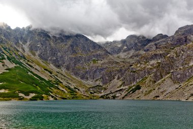 Dağ yaz manzarası