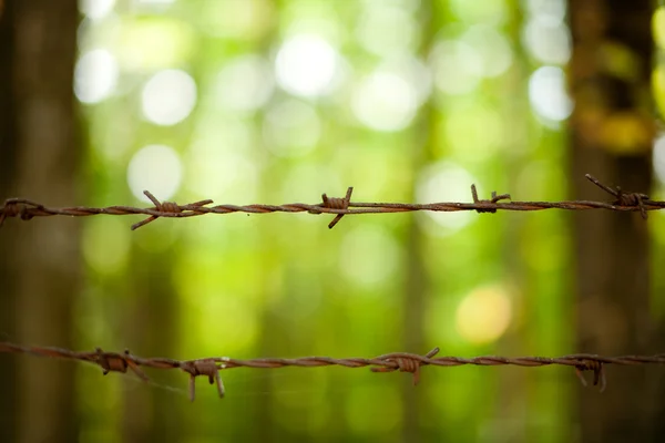 Rusty barb wire — Stock Photo, Image
