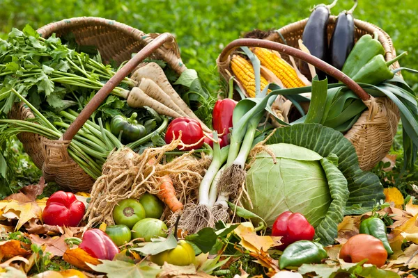 Färska råa grönsaker i gräs — Stockfoto