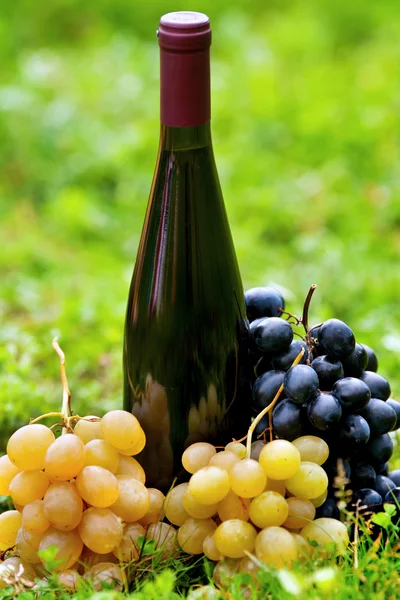 瓶的葡萄酒和葡萄在草丛中 — 图库照片