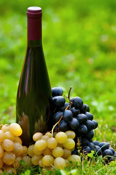 Bottle of wine and grapes in grass — Stock Photo, Image