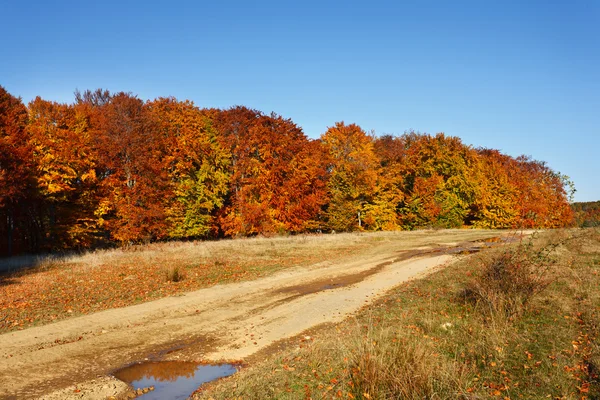 Autumnal landscape — Stock Photo, Image