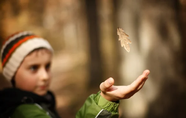 Boy catching a falling leaf — Stock Photo, Image