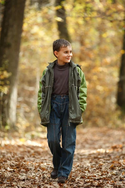 Fiú séta erdőben — Stock Fotó