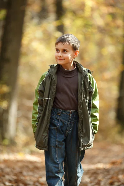 Rapaz a caminhar pela floresta — Fotografia de Stock