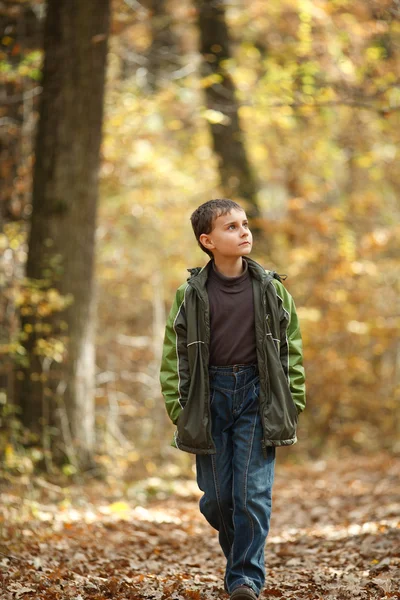 Pojke promenader genom skogen — Stockfoto