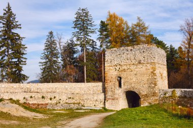 Romanya merkezine kale