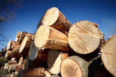 Logs against blue sky clipart