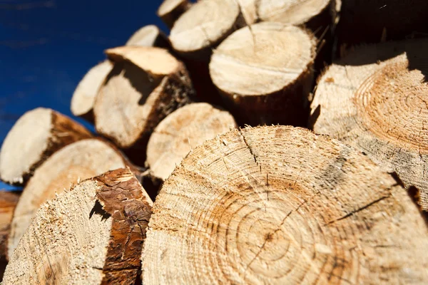 Logs against blue sky — Stock Photo, Image