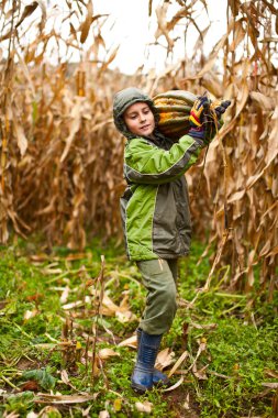 Cute little boy carrying a big pumpkin clipart