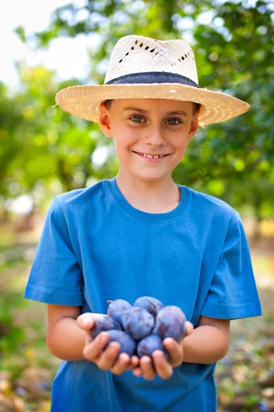 Enfant mignon avec une poignée de prunes — Photo