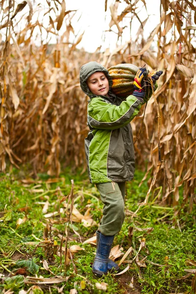 Χαριτωμένο μικρό αγόρι που μεταφέρουν μια μεγάλη κολοκύθα — Φωτογραφία Αρχείου