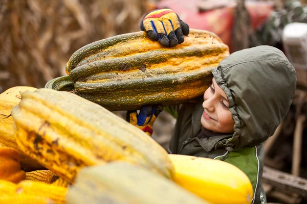 Cute little boy carrying a big pumpkin — Stock Photo, Image