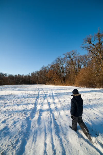 Щасливий Милий Хлопчик Грає Снігу Біля Лісу — стокове фото