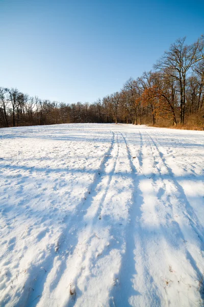 Paisagem Inverno Com Floresta Sob Céu Azul — Fotografia de Stock