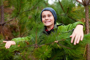 Portrait of a beautiful child outdoor, among pine branches clipart