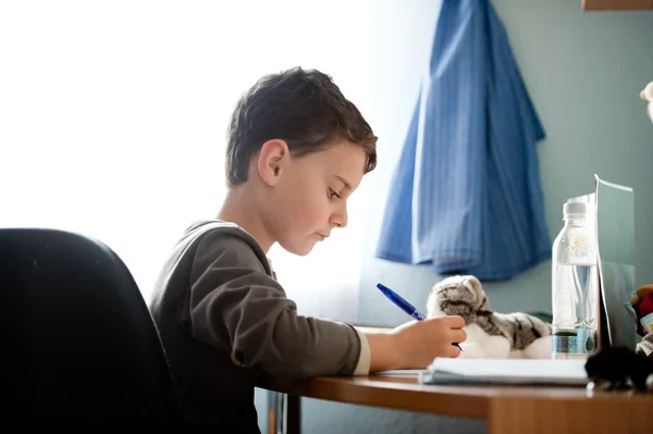 Porträt Eines Schülers Der Seinem Schreibtisch Hausaufgaben Macht — Stockfoto