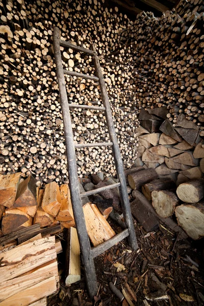 積み上げブナの木と木製のはしごのイメージ — ストック写真