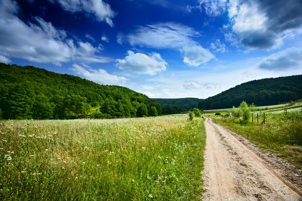 Пейзаж Лісом Блакитним Небом Хмарами — стокове фото