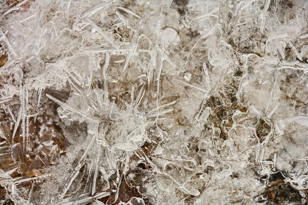 Buz Çiçekleri Veya Şeklin Kış Makro — Stok fotoğraf