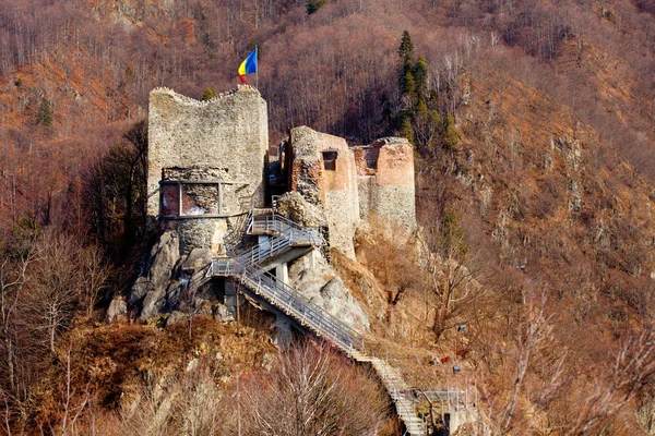 Fortezza Poienari di Dracula — Foto Stock