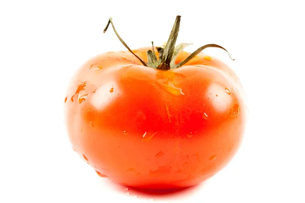 Único Tomate Isolado Sobre Fundo Branco — Fotografia de Stock