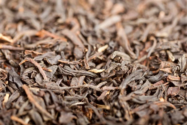 黒茶の杭の極端なクローズ アップ — ストック写真