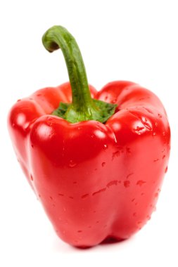 Red ball pepper on white clipart