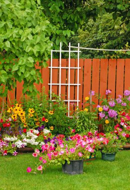 Colorful backyard garden clipart