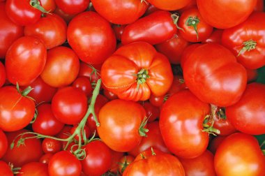 Fresh red tomatoes clipart