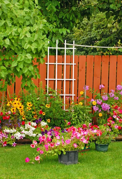 Giardino colorato cortile — Foto Stock
