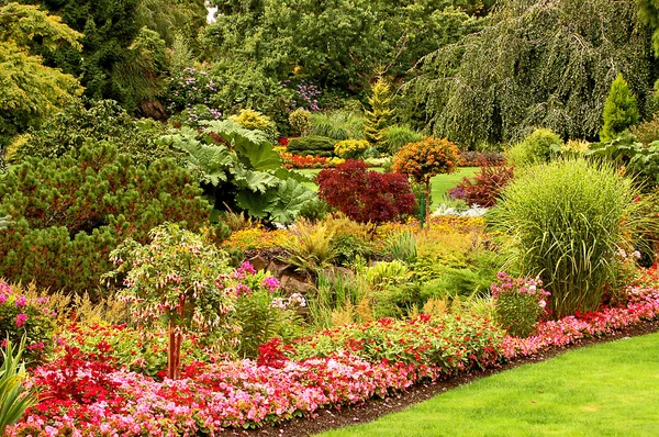 Καταπράσινο κήπο πολύχρωμο — Φωτογραφία Αρχείου
